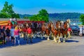 Budweiser Clydesdales in Wrightsville Royalty Free Stock Photo